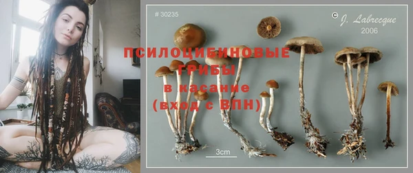 таблы Белокуриха