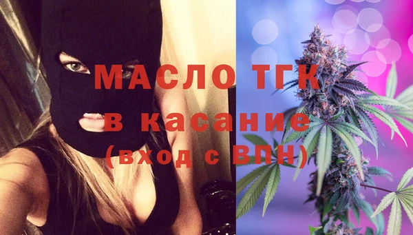 дживик Няндома