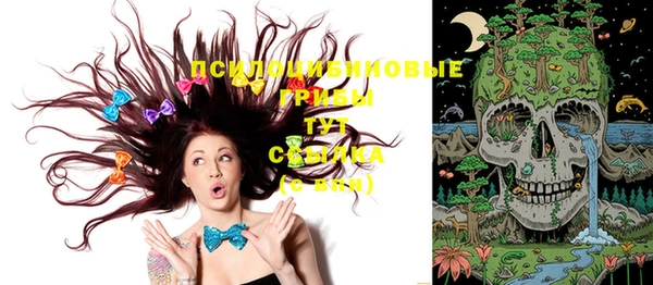 ПСИЛОЦИБИНОВЫЕ ГРИБЫ Остров