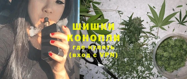 прущие грибы Осинники