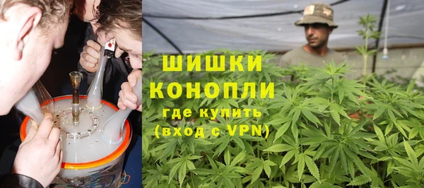 прущие грибы Осинники