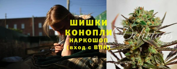 ПСИЛОЦИБИНОВЫЕ ГРИБЫ Остров
