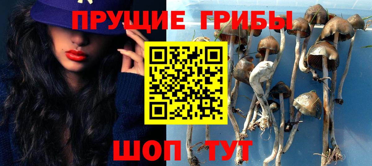 Владикавказ  Галлюциногенные грибы мицелий  дарнет шоп  Вход с VPN 