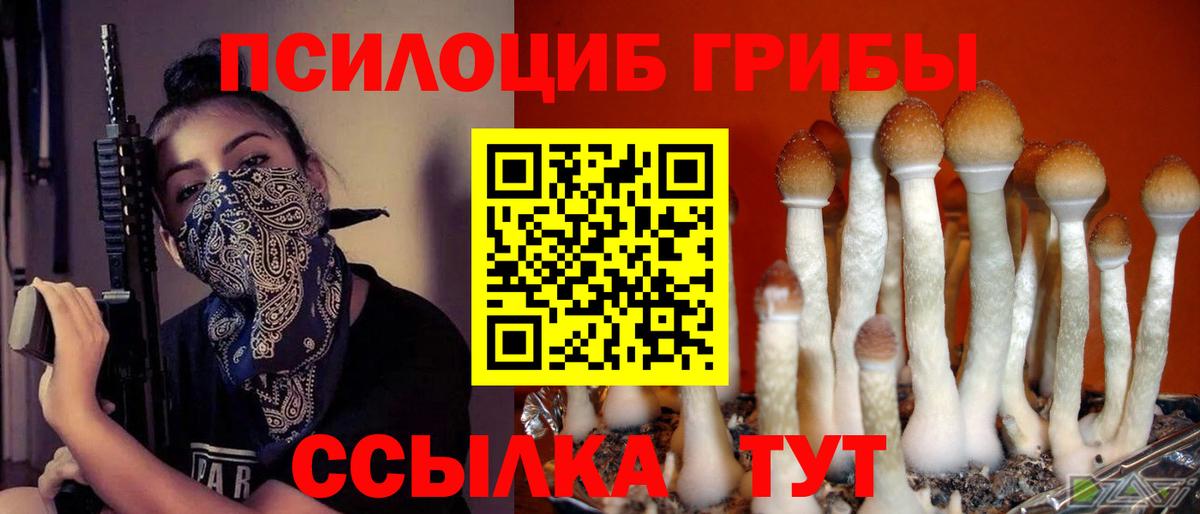 Галлюциногенные грибы мухоморы Владикавказ
