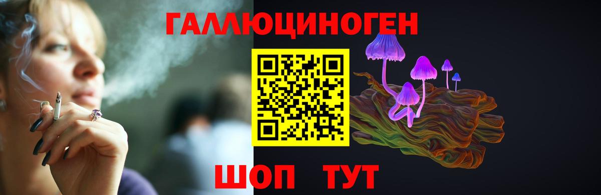 Галлюциногенные грибы GOLDEN TEACHER  Владикавказ  Псилоцибиновые грибы Psilocybine cubensis 